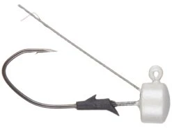 Lazer TroKar Weedless Tungsten Pro-V Finesse Ned Rig Jighead 2 Pack -Shimano Sales 2024 31358880874585