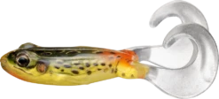 LIVETARGET Freestyle Frog Topwater Soft Plastic 29 LIVETARGET Freestyle Frog Topwater Soft Plastic -Shimano Sales 2024 31396951818329