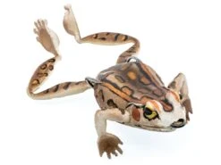 Chasebaits Bobbin' Frog Hollow Body Frog -Shimano Sales 2024 31437111820377