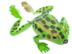 Chasebaits Bobbin' Frog Hollow Body Frog -Shimano Sales 2024 31437112016985