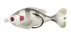 Lunkerhunt Propfish Sunfish 3 1/4 Inch Hollow Topwater Prop Lure -Shimano Sales 2024 31535186968665