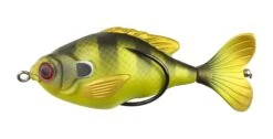 Lunkerhunt Propfish Sunfish 3 1/4 Inch Hollow Topwater Prop Lure -Shimano Sales 2024 31535187001433