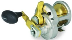 Shimano Talica 2-Speed Lever Drag Conventional Reels 6 Shimano Talica 2-Speed Lever Drag Conventional Reels -Shimano Sales 2024 39256855609433