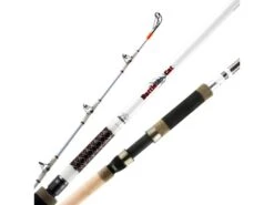 Okuma Battle Cat Catfish Spinning Rod 2-piece -Shimano Sales 2024 39701683798105
