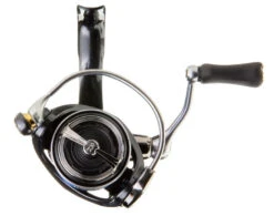 Daiwa Legalis LT Spinning Reels -Shimano Sales 2024 4