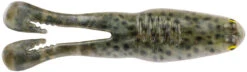 Berkley PowerBait Buzz'n Speed Toad 4 Inch Frog -Shimano Sales 2024 40321469317209