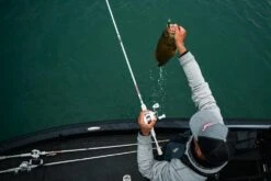 Abu Garcia Veritas Winch Baitcasting Rod -Shimano Sales 2024 ABU CASTING ROD VERITAS PLX WINCH LIFESTYLE 2021 005