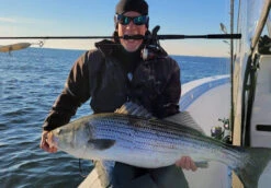 Nomad Design Inshore Spinning Rod 6 Nomad Design Inshore Spinning Rod -Shimano Sales 2024 Inshore Spin