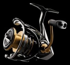 Daiwa Exceler LT Spinning Reel -Shimano Sales 2024 JTKar0HY