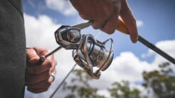 Daiwa Procyon MQ LT Spinning Reel -Shimano Sales 2024 Procyon1Spot
