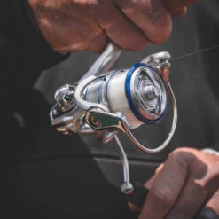 Daiwa Procyon MQ LT Spinning Reel -Shimano Sales 2024 Procyon3Spot 1000x a9dd0fff 5484 484f ada8 569f03ffa72b
