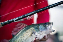 Temple Fork Outfitters Professional Walleye Spinning Rods -Shimano Sales 2024 Professional Walleye Bottom Banner 5 6e463a16 4f06 4d6d bc95 804c49deec1e