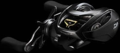 Daiwa Steez SV TW Baitcasting Reel -Shimano Sales 2024 STEEZ SVTW HS PR
