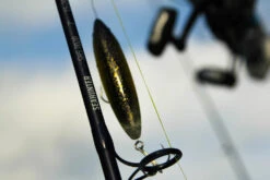 Temple Fork Outfitters Seahunter Casting Rods 26 Temple Fork Outfitters Seahunter Casting Rods -Shimano Sales 2024 Seahunter Bottom Banner 3