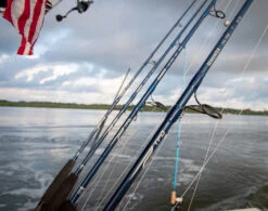 Temple Fork Outfitters Seahunter Casting Rods 22 Temple Fork Outfitters Seahunter Casting Rods -Shimano Sales 2024 Seahunter Carousel Lifestlye 5