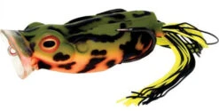 River2Sea Spittin' Wa 70 Topwater Frog -Shimano Sales 2024 Spittinwa23 firebelly 6d9c9f7c 22f1 4c25 aa83 74a151dadd06