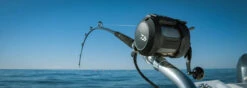 Daiwa Tanacom 800 Power Assist Electric Dendoh Reel -Shimano Sales 2024 TANACOM 800 BANNER1
