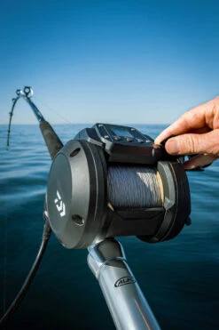 Daiwa Tanacom 800 Power Assist Electric Dendoh Reel -Shimano Sales 2024 TANACOM 800 41