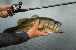 Temple Fork Outfitters Tactical Bass Baitcasting Rods -Shimano Sales 2024 Tactical Bass Bottom Banner Lifestlye 1 58dad5a5 5cde 4d45 abec 10983a08d6d8