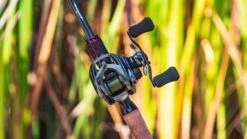 Daiwa Steez CT SV Baitcasting Reel -Shimano Sales 2024 daiwa steez ct sv 5