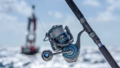 Daiwa Saltist MQ Spinning Reels -Shimano Sales 2024 saltist mq life 01