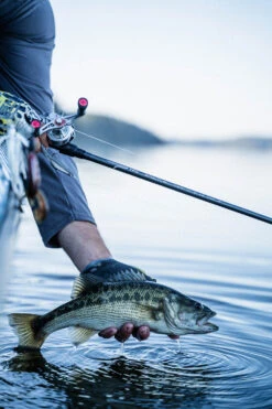 Temple Fork Outfitters Tactical Elite Bass Spinning Rods -Shimano Sales 2024 tfo tactical elite bass bottom banner lifestyle 1 1 3aefa395 da73 4318 948c 1a40ec1d5732