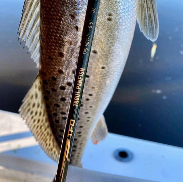 Temple Fork Outfitters Trout-Panfish Spinning Rods 12 Temple Fork Outfitters Trout-Panfish Spinning Rods - Image 12